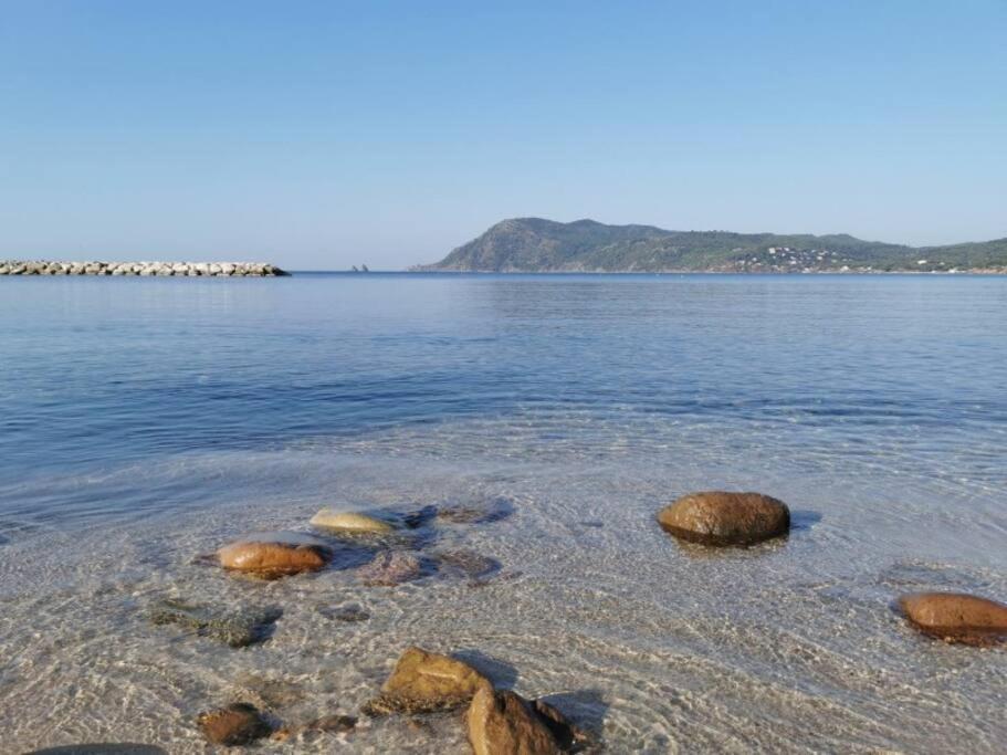 Studio Zen Sud Plage A Pied Pin Rolland Sablettes Saint-Elme Eksteriør bilde