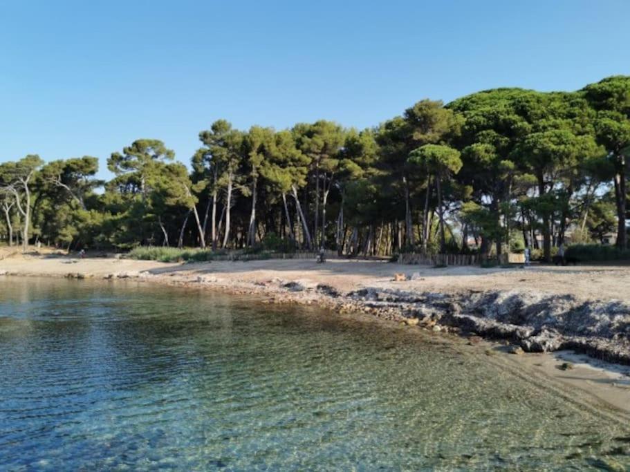 Studio Zen Sud Plage A Pied Pin Rolland Sablettes Saint-Elme Eksteriør bilde